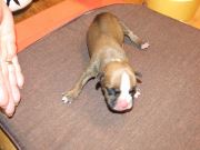 Bild 24